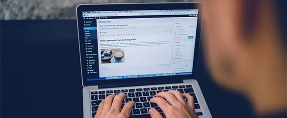 WordPress-Plugin Entwicklung